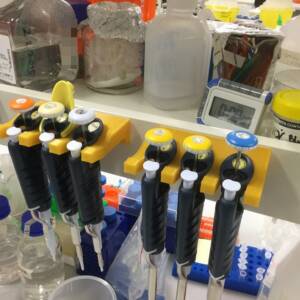 Adhesive Backed Pipette Holder for Gilson Pipettes (1×, 2×, 3)